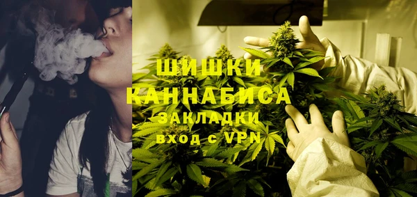 прущие грибы Абдулино
