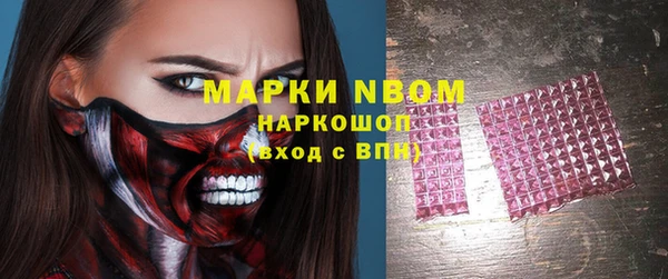 прущие грибы Абдулино