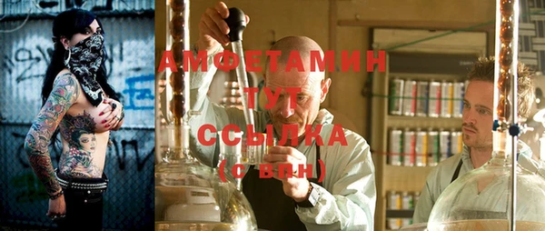 прущие грибы Абдулино