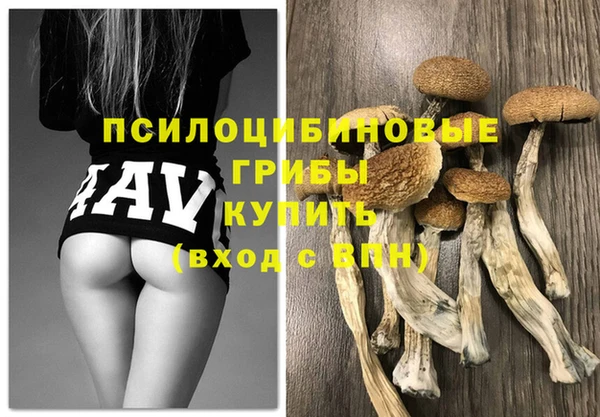 прущие грибы Абдулино