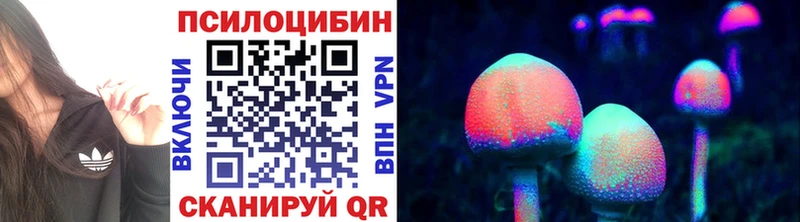Галлюциногенные грибы Cubensis  где купить наркоту  Тутаев 